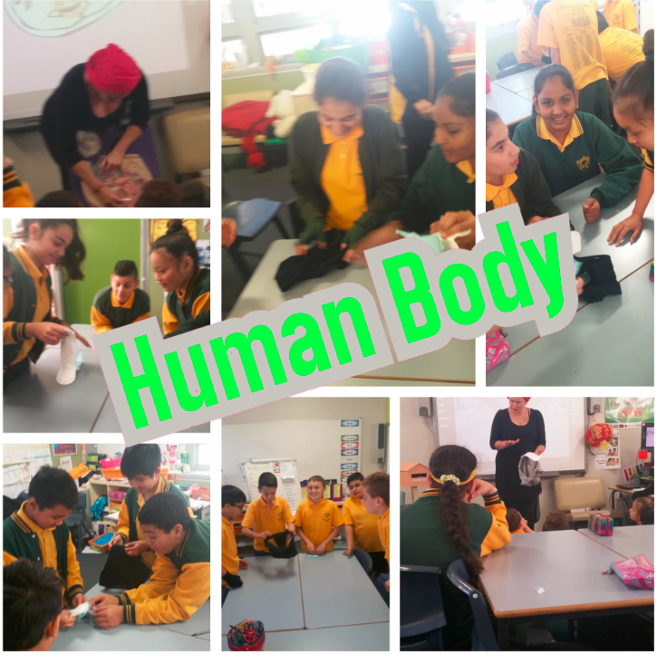 Human body experiments